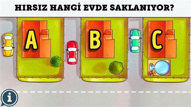 Polislik sorusu: Hırsız hangi evde saklanıyor?