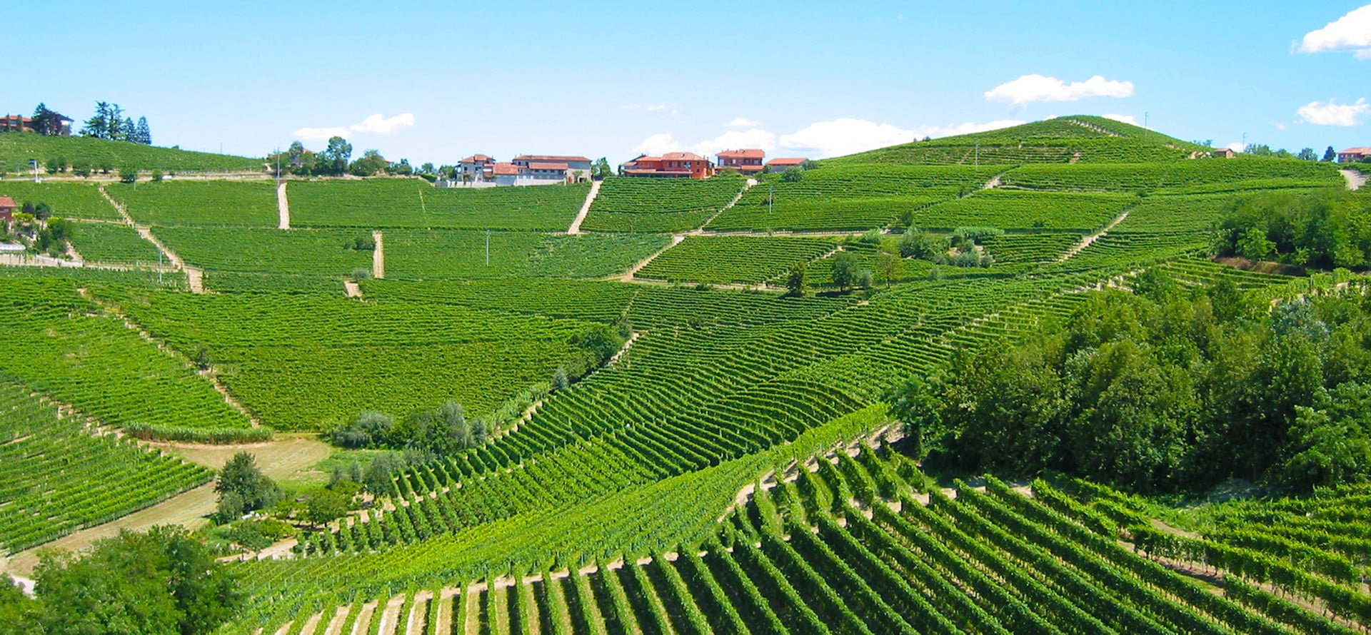 Avrupa'nın En Leziz 5 Şarap Durağı piemonte