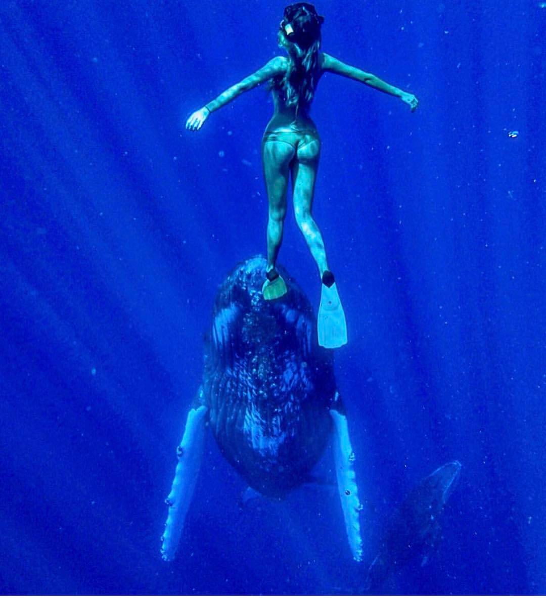 Vahşi hayvanları fotoğraflamak için dünyayı geziyor Sarah Kohan moonstrucktraveller