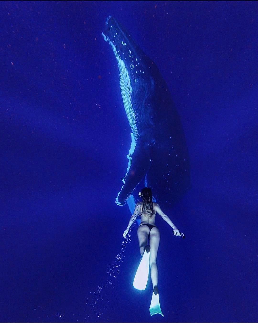 Vahşi hayvanları fotoğraflamak için dünyayı geziyor Sarah Kohan moonstrucktraveller (3)