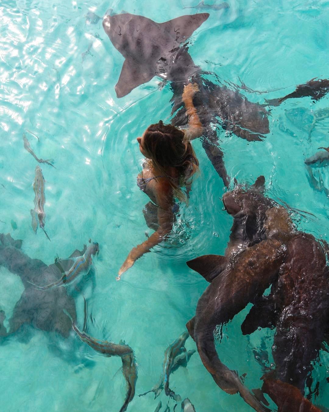 Vahşi hayvanları fotoğraflamak için dünyayı geziyor Sarah Kohan moonstrucktraveller (4)
